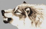 (image for) Grey Wolf Growl